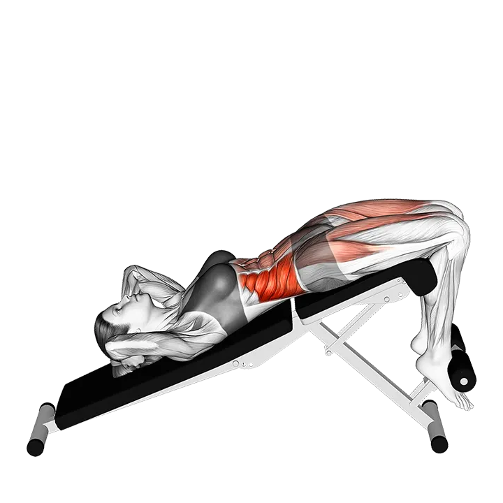 Decline Twisting Sit up exercise animation (Female)