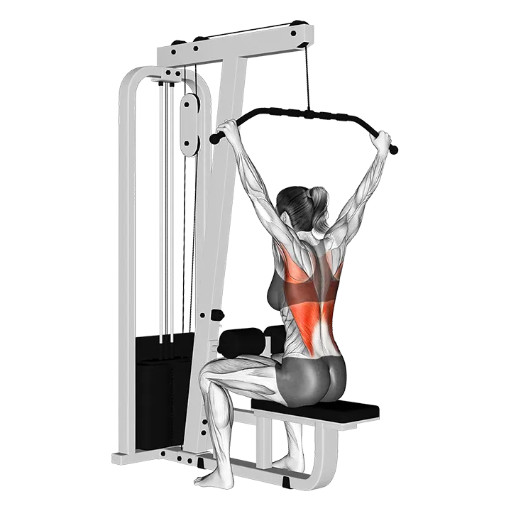 Cable Wide Grip Rear Pulldown Behind Neck exercise animation (Female)