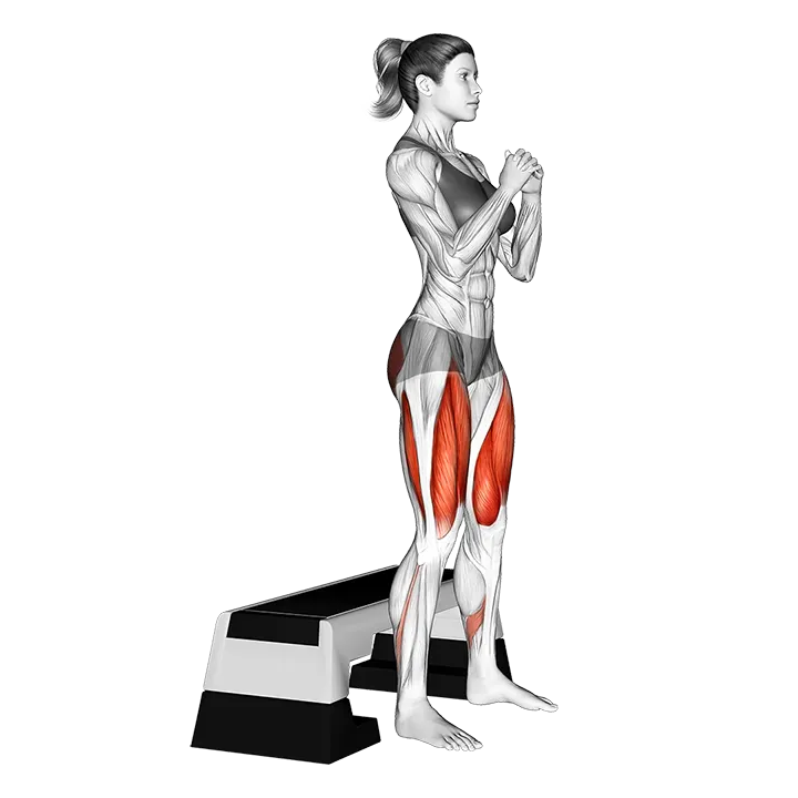 Bench Full Squat exercise animation (Female)