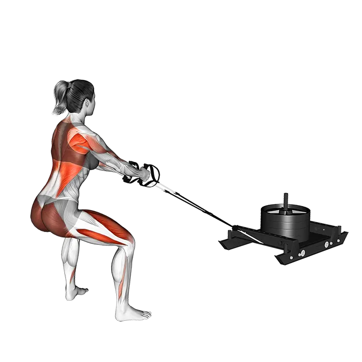Power Sled Pull Row exercise animation (Female)