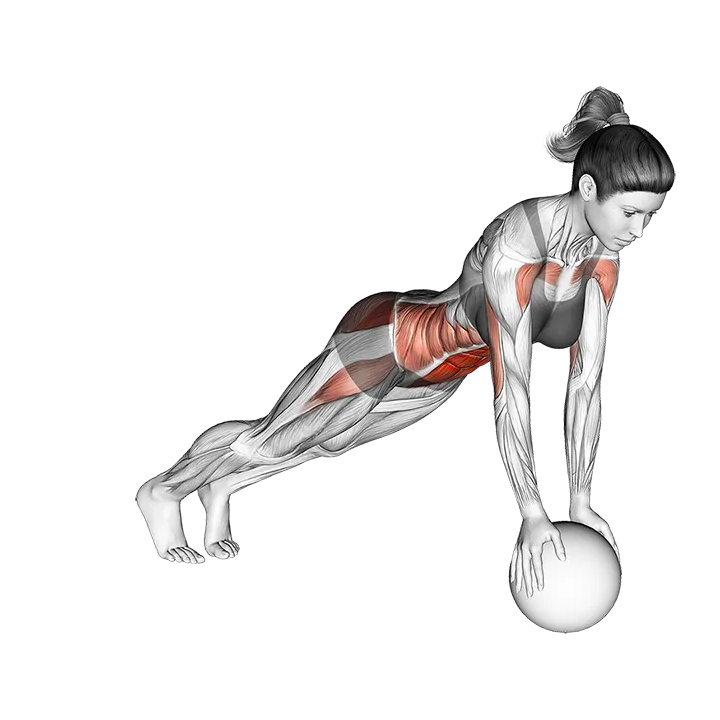 Jack Plank on Medicine Ball exercise animation (Weiblich)