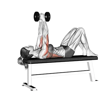 Dumbbell Bent Arm Pullover with Knees Bent