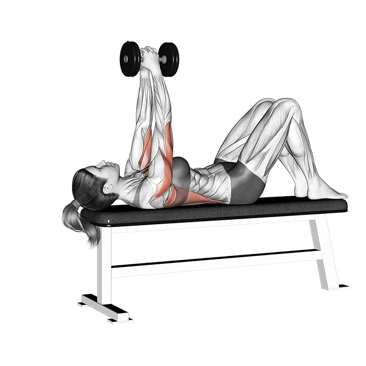 Dumbbell Bent Arm Pullover with Knees Bent exercise animation (Female)