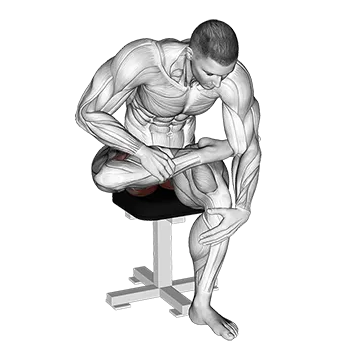 Seated Piriformis Stretch