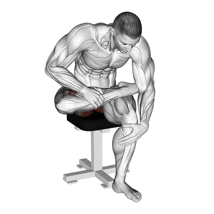 Seated Piriformis Stretch exercise animation (Male)