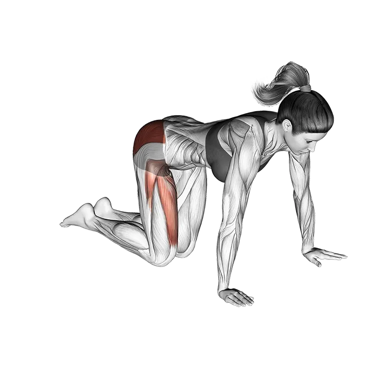 Bent Leg Circle Kick (kneeling) exercise animation (Female)
