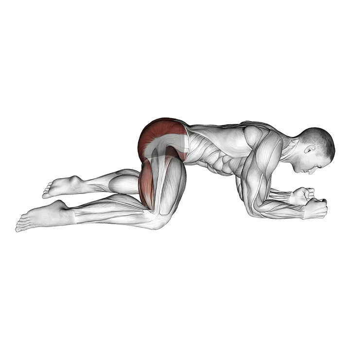 Rocking Frog Stretch exercise animation (Male)