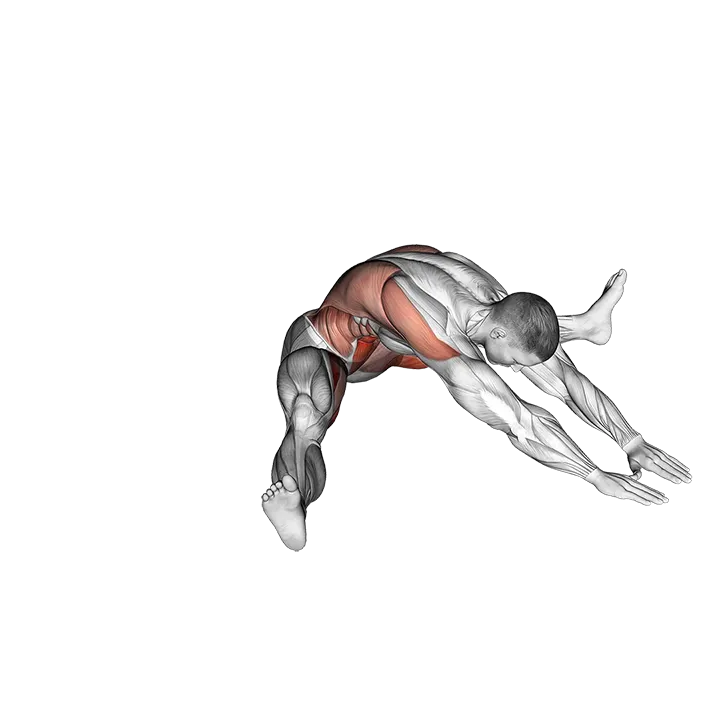 Roll overs into V sits exercise animation (Male)
