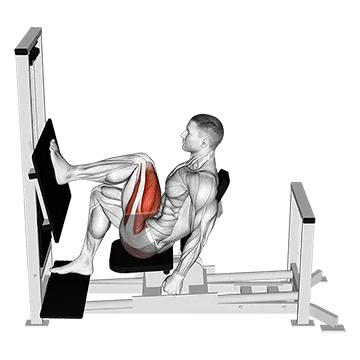 Lever Horizontal One leg Press