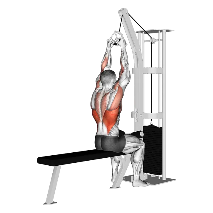 Cable Lateral Pulldown with V-bar exercise animation (Männlich)