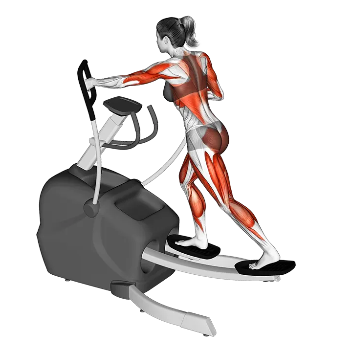 Elliptical Machine Skiing exercise animation (Female)