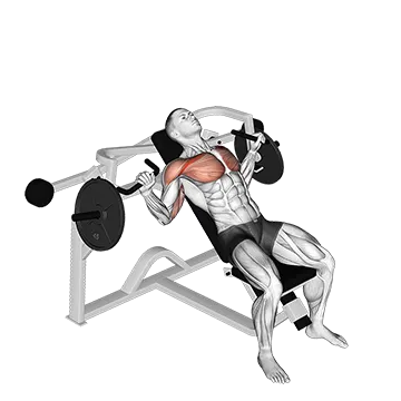 Lever Incline Chest Press (plate loaded)