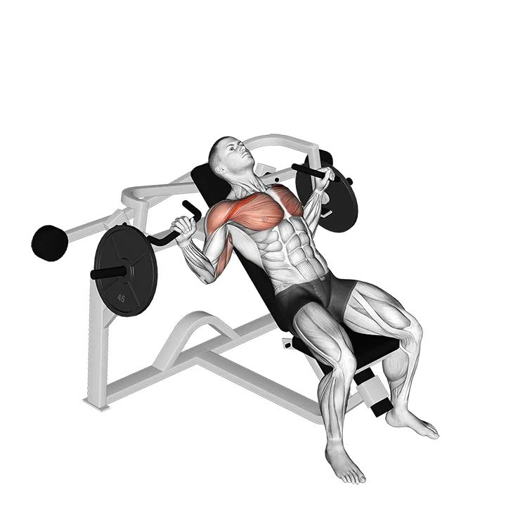Lever Incline Chest Press (plate loaded) exercise animation (Male)