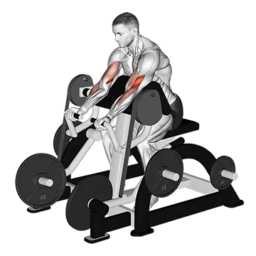 Lever Preacher Curl (plate loaded)