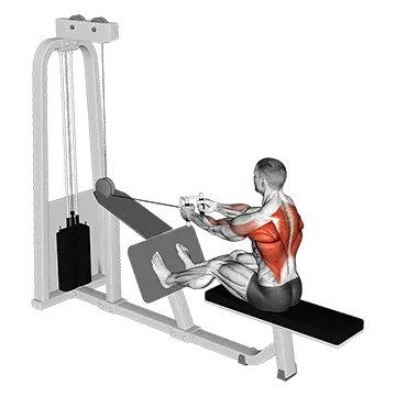 Cable Seated Row with V bar