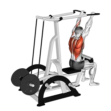 Lever High Row (plate loaded)