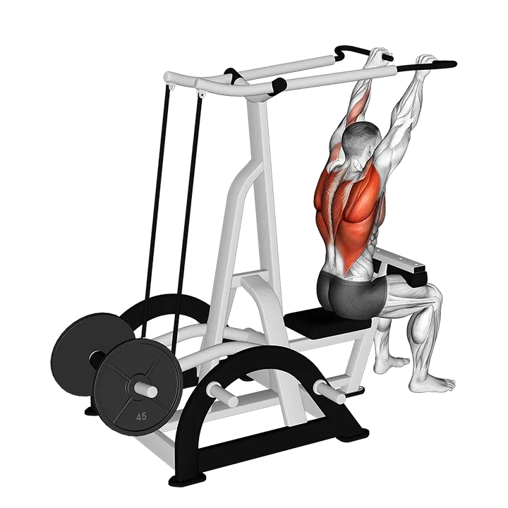Lever High Row (plate loaded) exercise animation (Male)