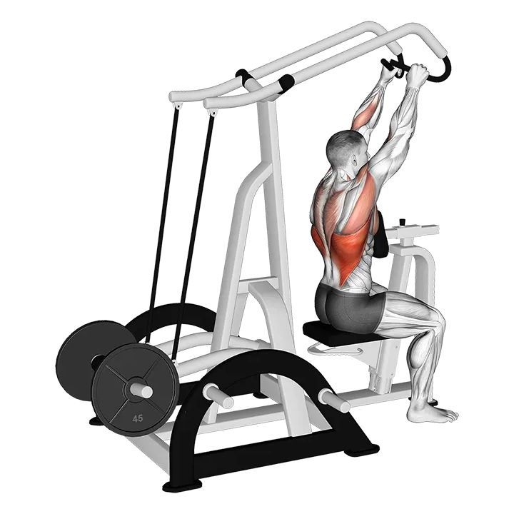 Lever High Row (plate loaded) (VERSION 3) exercise animation (Hombre)