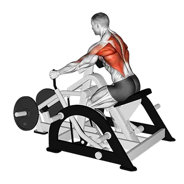 Lever Seated Row (plate loaded)