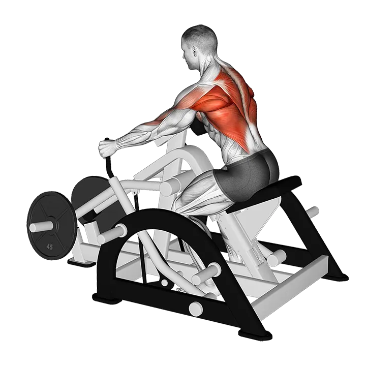 Lever Seated Row (plate loaded) exercise animation (Male)