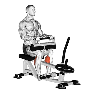 Lever Seated Calf Raise (plate loaded) (VERSION 2)