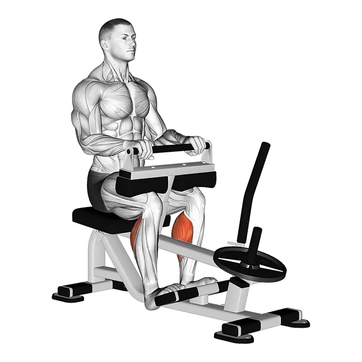 Lever Seated Calf Raise (plate loaded) (VERSION 2) exercise animation (Male)