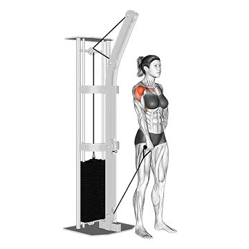 Cable One Arm Front Raise