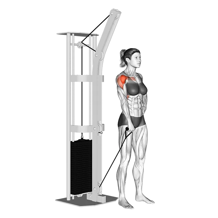 Cable One Arm Front Raise exercise animation (Female)
