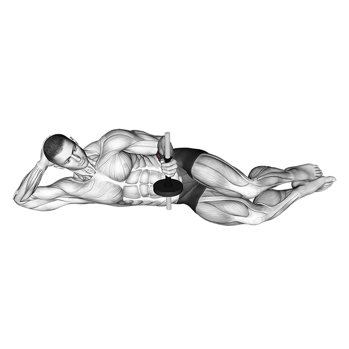 Dumbbell Lying Pronation on Floor exercise animation (Male)