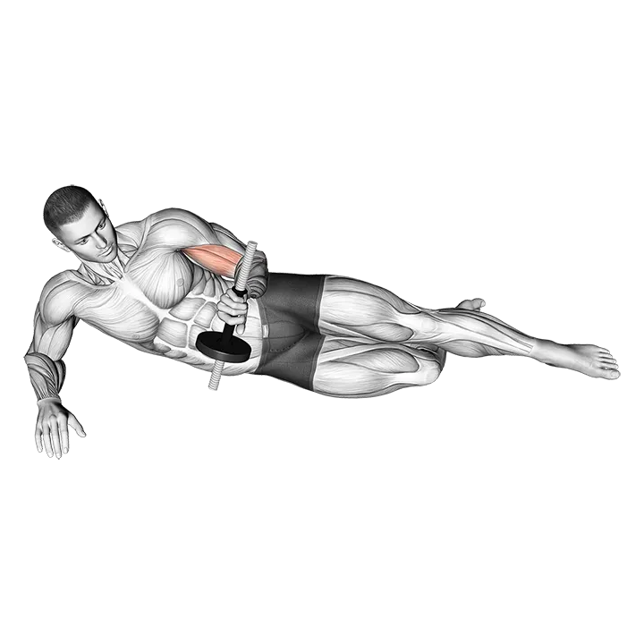 Dumbbell Lying Supination on Floor exercise animation (Male)
