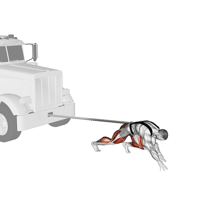 StrongMan Truck Pull exercise animation (Male)