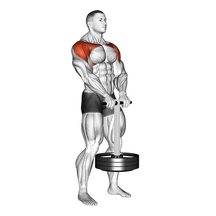 StrongMan Front Hold exercise animation (Male)