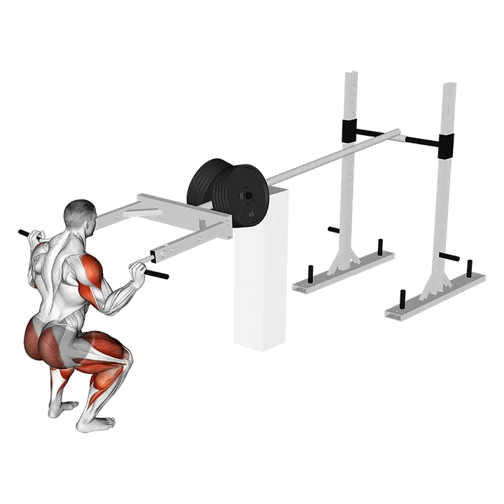 StrongMan Viking Press exercise animation (Male)