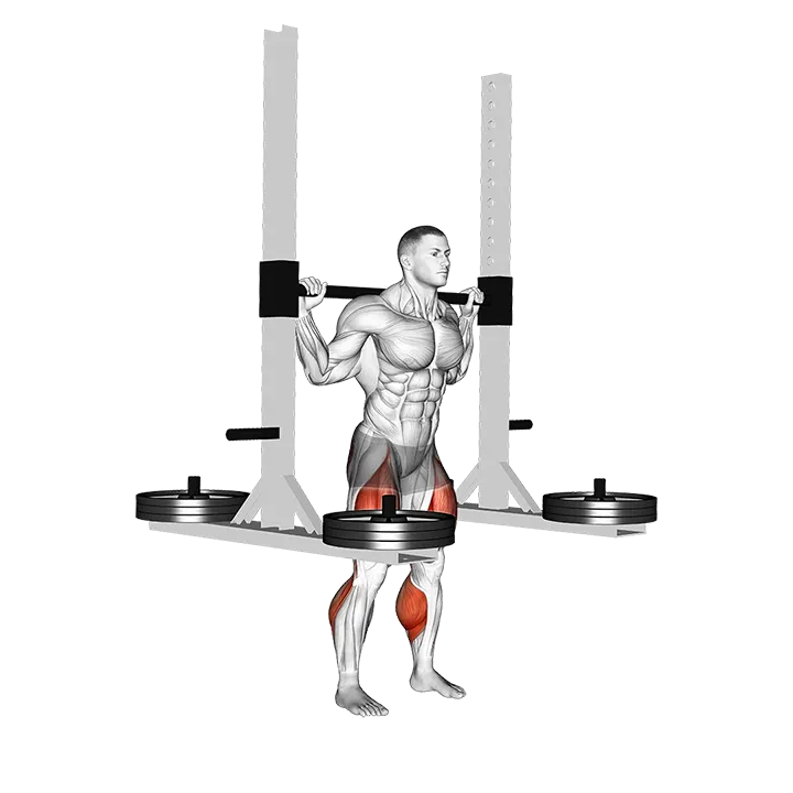StrongMan Squats with Platform exercise animation (Male)