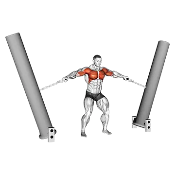 StrongMan Hercules Hold