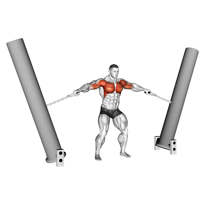 StrongMan Hercules Hold exercise animation (Male)