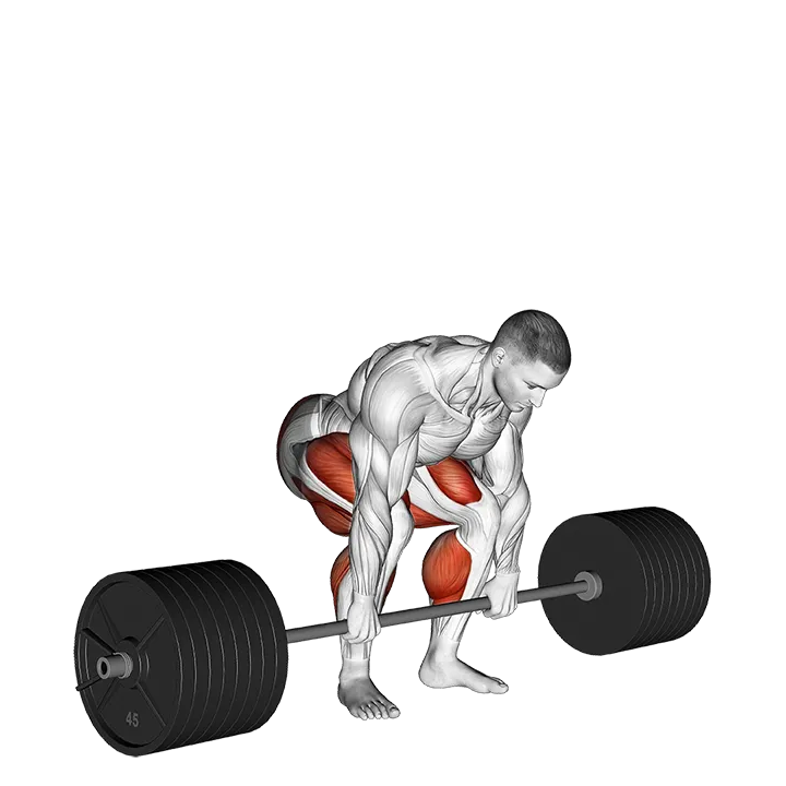 StrongMan Deadlift exercise animation (Male)