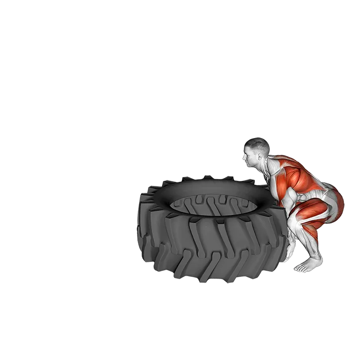 StrongMan Tire Flip exercise animation (Male)