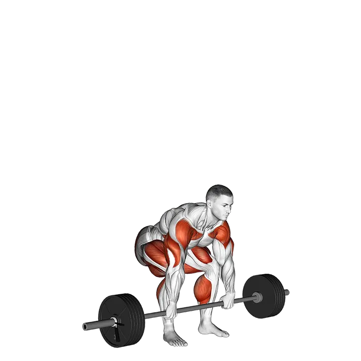 StrongMan Apollons Axle exercise animation (Male)