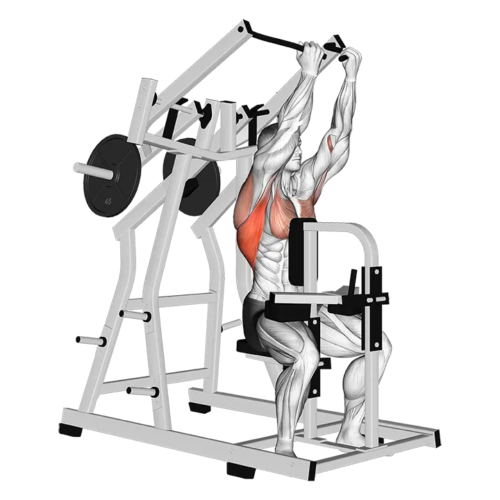 Lever Reverse grip Lateral Pulldown (plate loaded) exercise animation (Male)