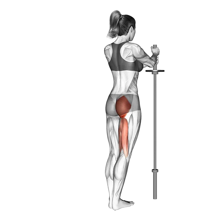Standing Hip Extension (straight leg) exercise animation (Female)