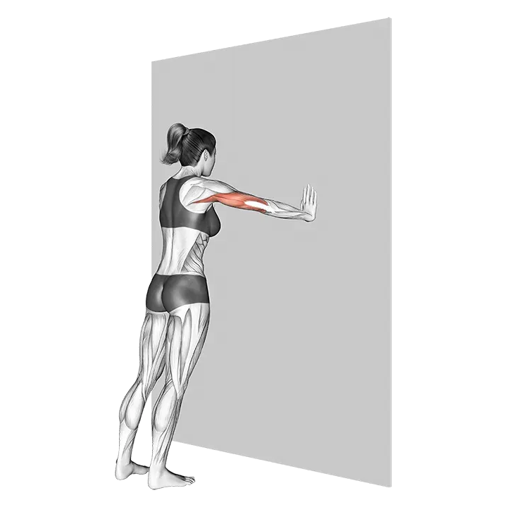 Wide Push-up (wall) exercise animation (Female)