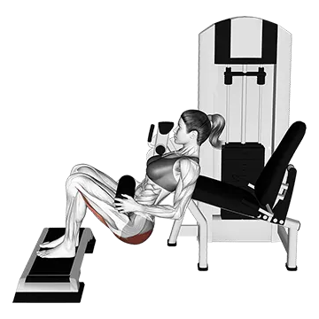 Lever Hip Thrust (with stepbox) (VERSION 2)