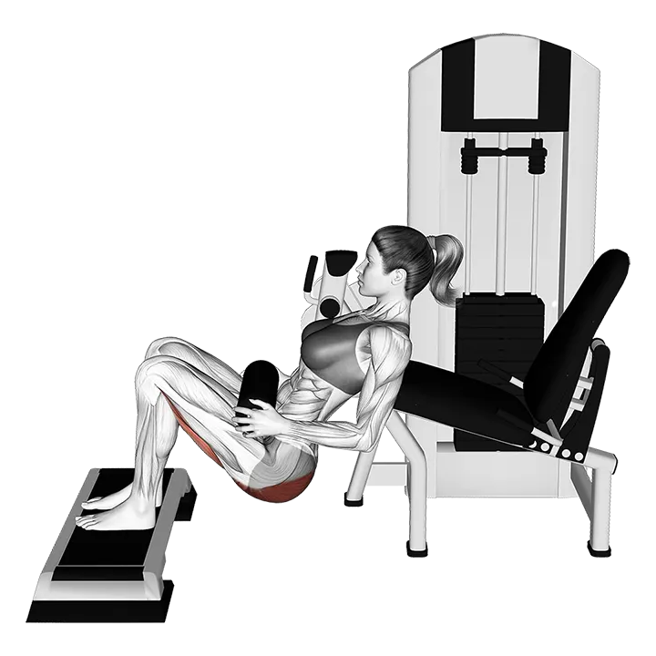 Lever Hip Thrust (with stepbox) (VERSION 2) exercise animation (Mujer)