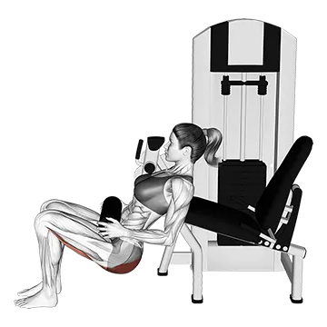 Lever Hip Thrust (VERSION 2)