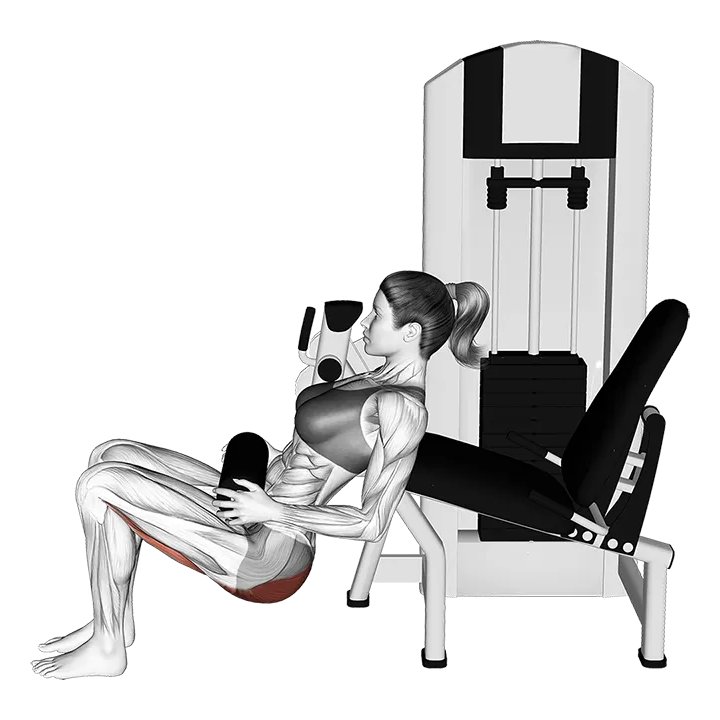 Lever Hip Thrust (VERSION 2) exercise animation (Female)