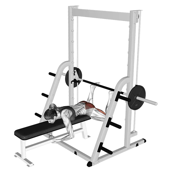Smith Reverse Hyperextension exercise animation (Female)