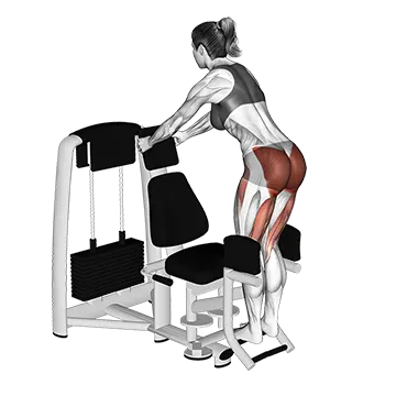 Lever Abduction Squat