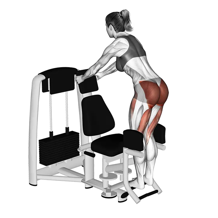 Lever Abduction Squat exercise animation (Female)