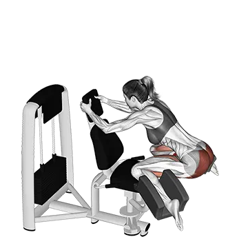 Lever Adduction Thrust